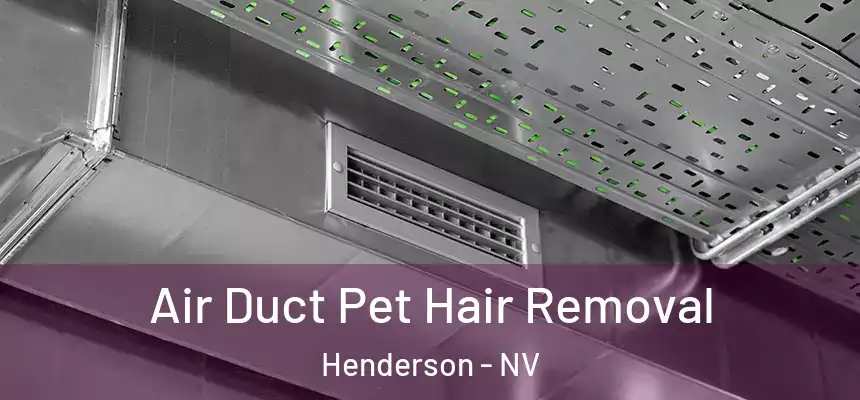 Air Duct Pet Hair Removal Henderson - NV