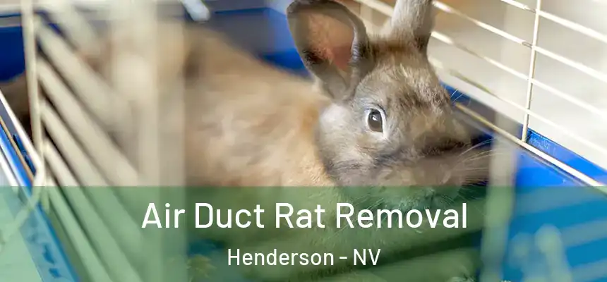 Air Duct Rat Removal Henderson - NV