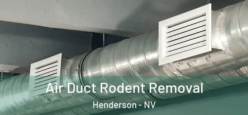 Air Duct Rodent Removal Henderson - NV