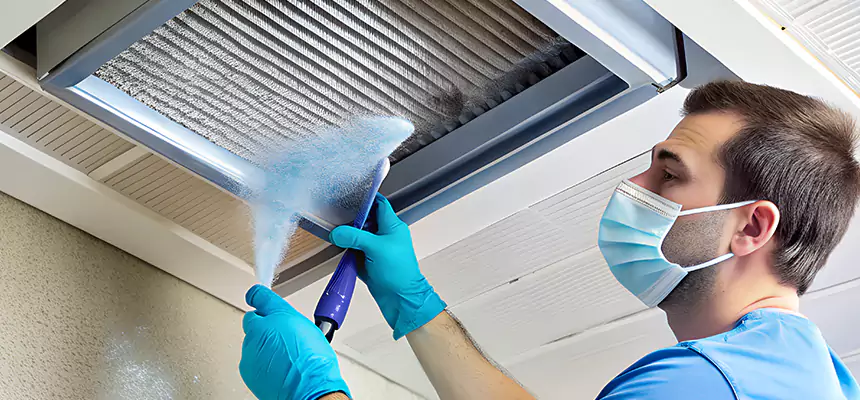 Proactive Dryer Vent & Auxiliary Duct Pollen Cleanup in Henderson, NV