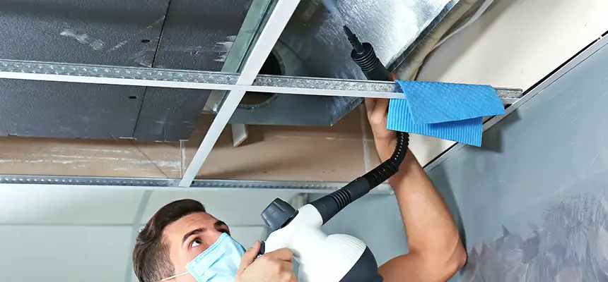 Our Air Duct Rodent Removal Services in Henderson, NV
