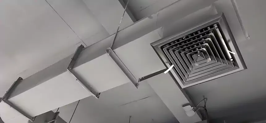 Our Pest Removal From Ducts Services in Henderson, NV