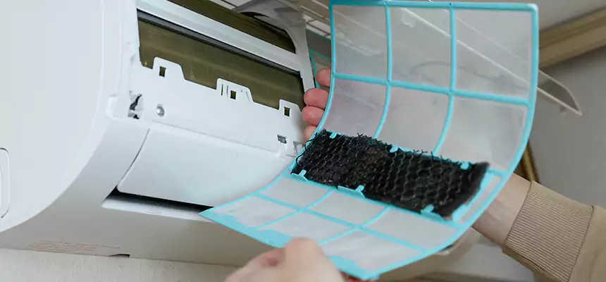 Gentle Ductwork Odor-Control Pet Dander Duct Cleaning in Henderson, NV