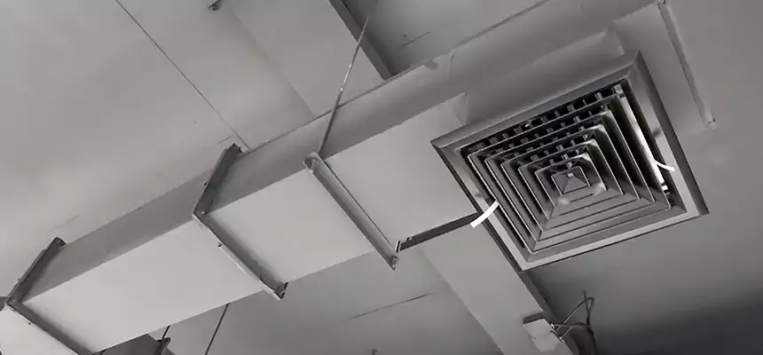 Our Rodent Droppings In Vents Services in Henderson, NV