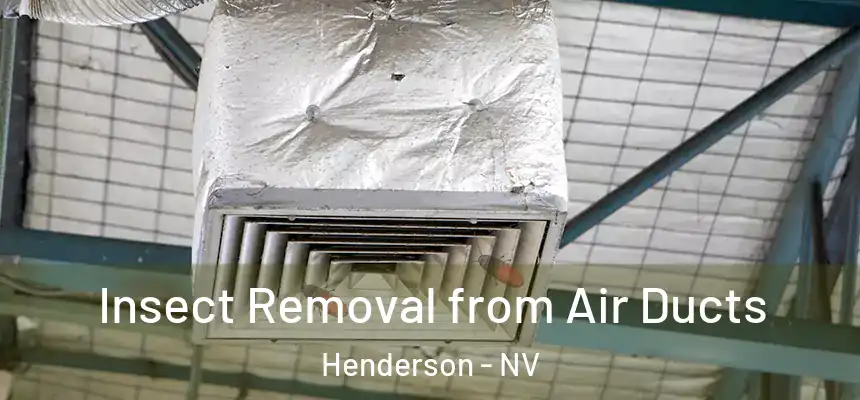 Insect Removal from Air Ducts Henderson - NV