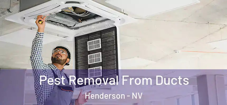 Pest Removal From Ducts Henderson - NV