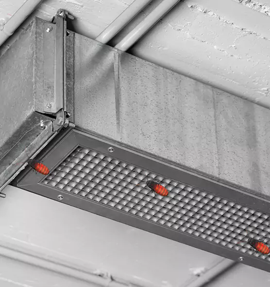 About Air Duct Cockroach Removal in Henderson, NV