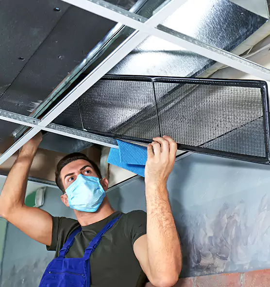 Professional Air Duct Pollen Cleaning in Henderson, NV