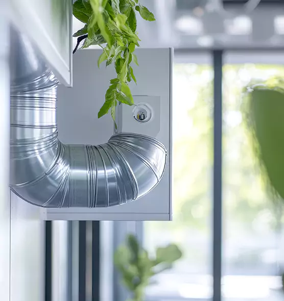 Professional Eco-Friendly Duct Cleaning Services in Henderson, NV