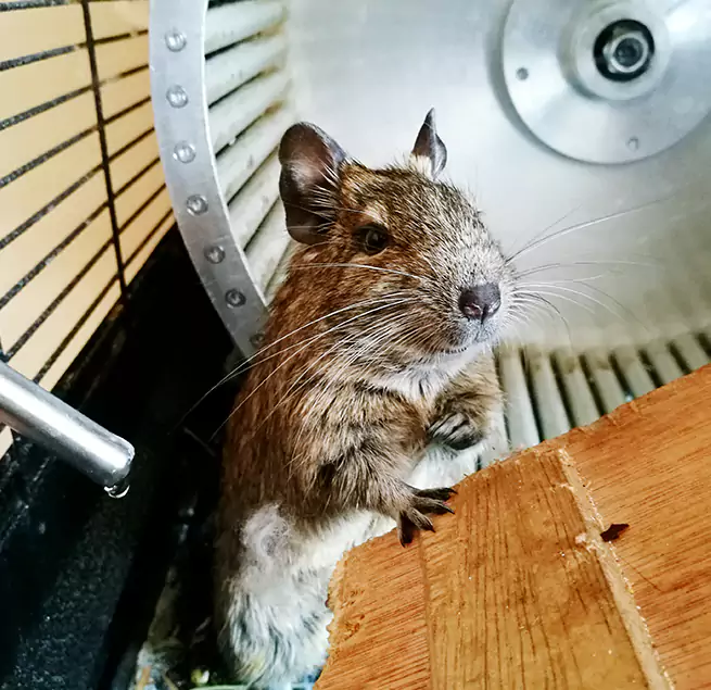 Why Homeowners & Businesses Trust Us Henderson, NV?