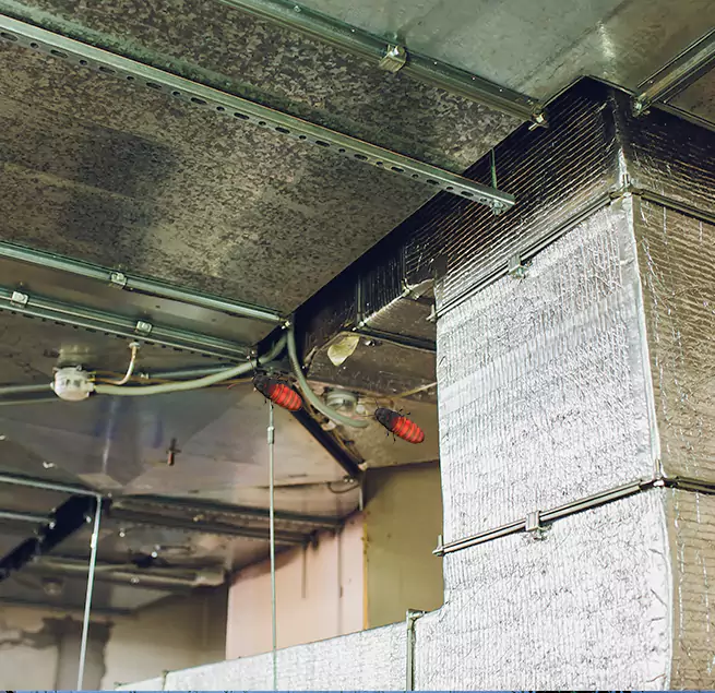 Why Homeowners & Businesses Trust Us Henderson, NV?