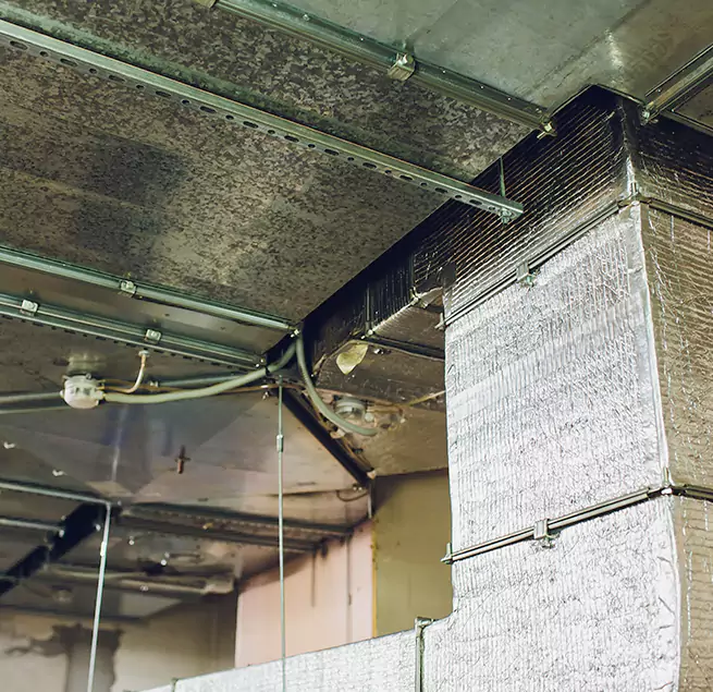 Why Homeowners & Businesses Trust Us in Henderson, NV?